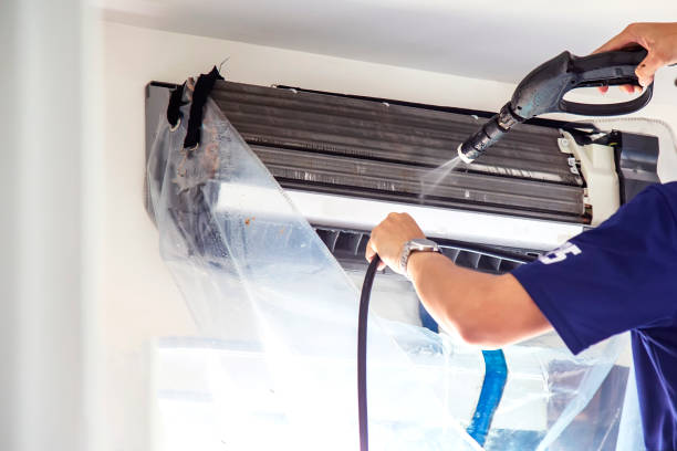 Best Home Air Vent Cleaning  in Carson City, MI