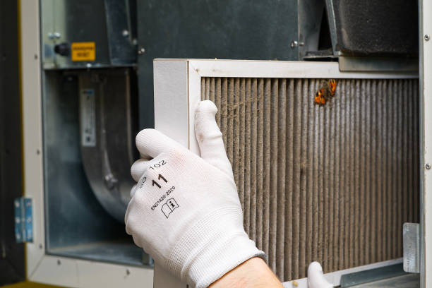 Best Ventilation Cleaning Services  in Carson City, MI